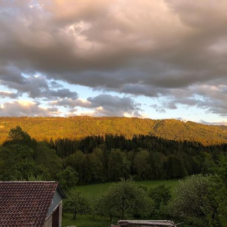 Ferienwohnung Samys Nahe Lindau Am Bodensee سيغمارزيل المظهر الخارجي الصورة