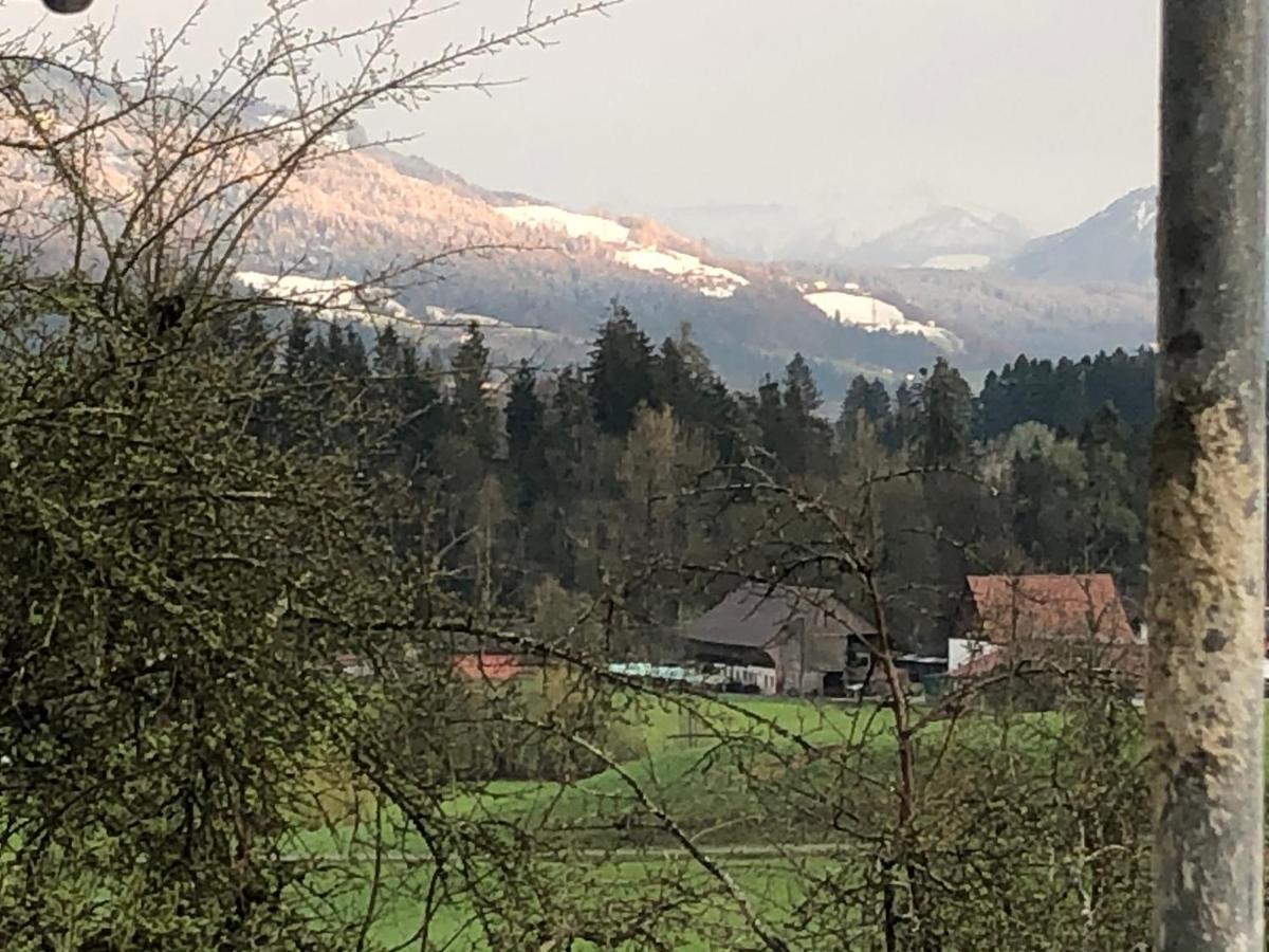 Ferienwohnung Samys Nahe Lindau Am Bodensee سيغمارزيل المظهر الخارجي الصورة