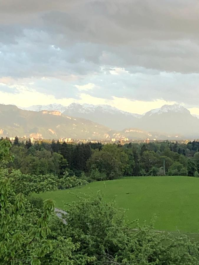 Ferienwohnung Samys Nahe Lindau Am Bodensee سيغمارزيل المظهر الخارجي الصورة